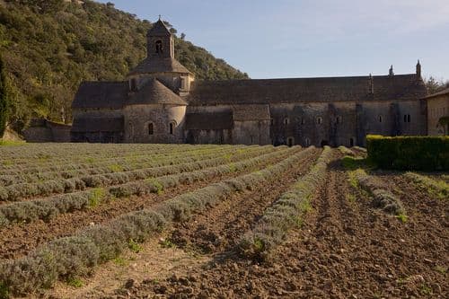 Organizzazione schede memoria e backup