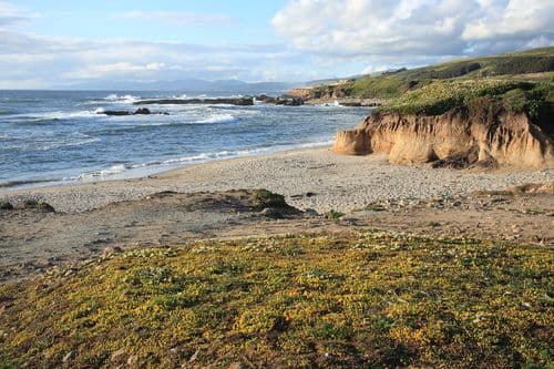 Nebbia imprevedibile che avvolge il paesaggio
