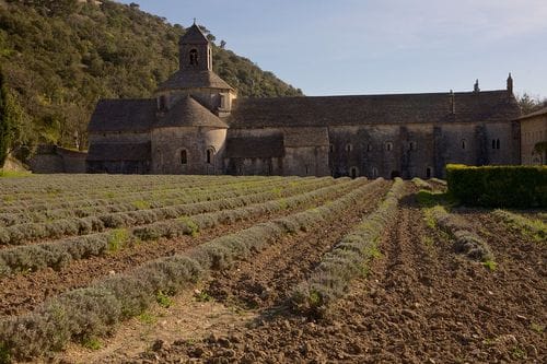 Abbaye de Sénanque