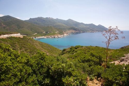 Corse 25