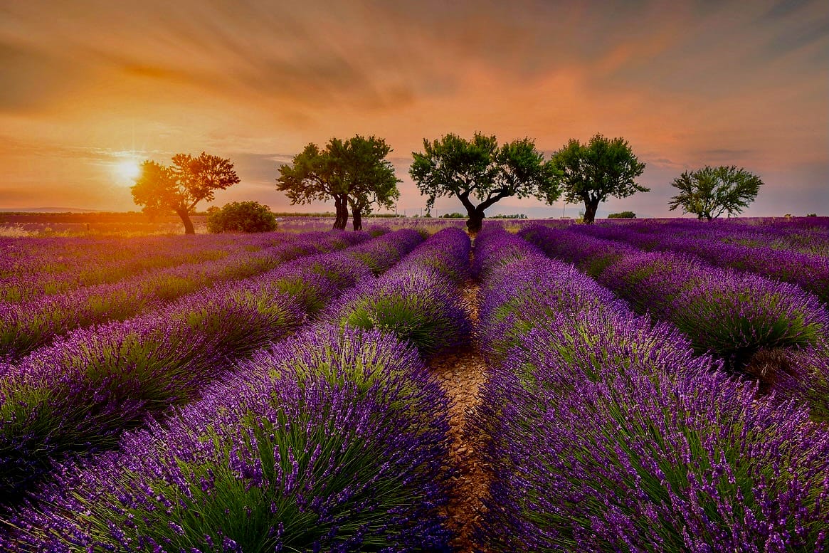 Route de Valensole