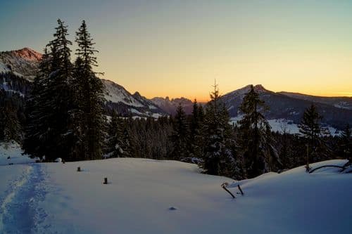 photoTips.fieldPage.images.ethicsAlt