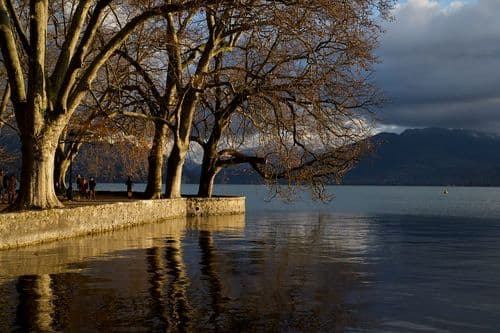 photoTips.fieldPage.gallery.img1Alt