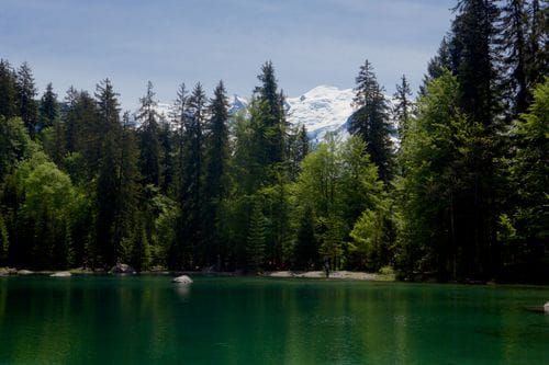 Lac Vert in Passy bei Sonnenschein